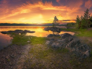 Пазл #47287