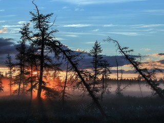 Пазл #19373