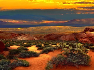 Пазл #50732