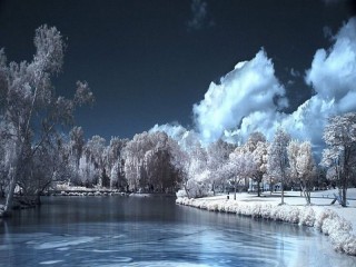 Пазл #65066