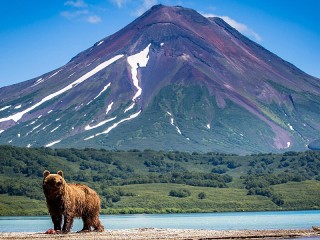 Пазл #50046