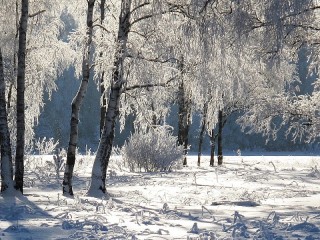 Пазл #54807