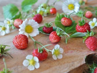 Пазл «Земляника»