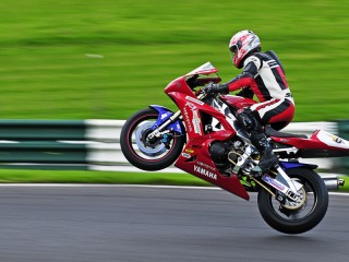 Пазл «Железный конь»