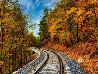 Пазл #64066