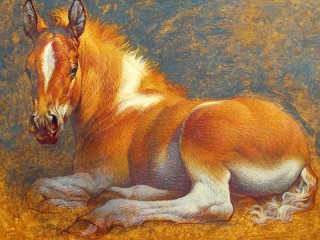 Пазл #61336