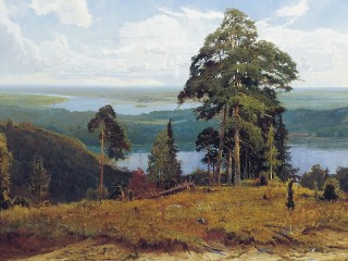 Пазл #60407