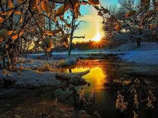 Пазл #59144