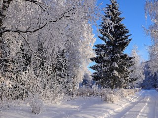 Пазл #70873