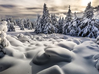 Пазл «Зима»