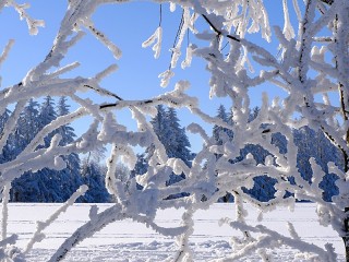 Пазл «Зима»