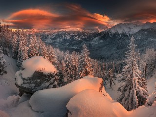 Пазл «Зима»