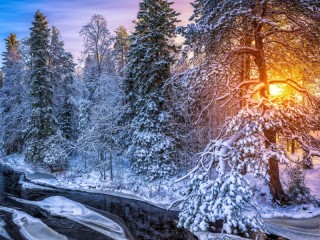 Пазл «Зима»