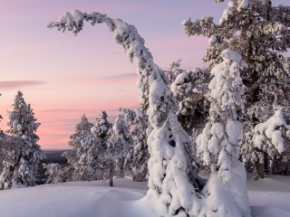 Пазл #59312