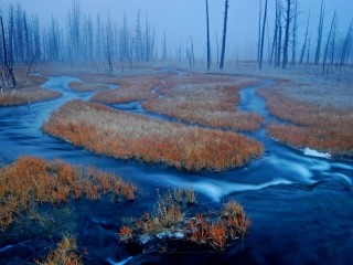 Пазл «Зима»
