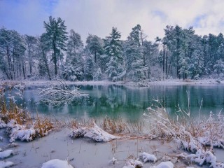 Пазл #60619