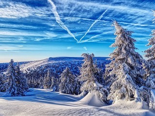 Пазл #25859