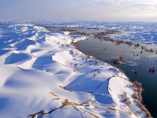 Пазл #54475