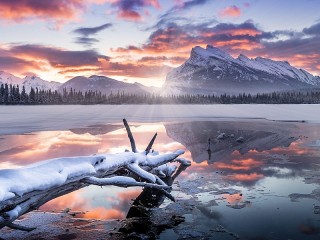 Пазл #38779
