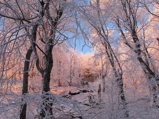 Пазл #5202
