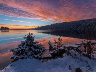 Пазл #50597
