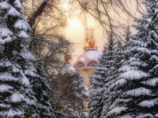 Пазл #46474