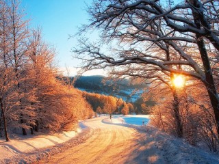 Пазл #7423