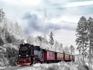 Пазл #68224