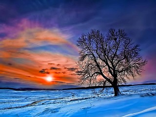 Пазл #52575