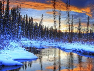 Пазл #60264