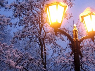 Пазл #11783