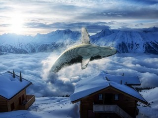 Пазл #25985