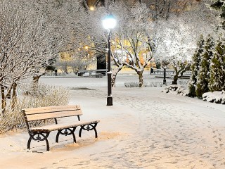 Пазл «Зимняя ночь»