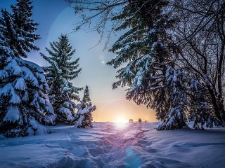 Пазл #25859