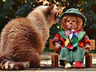 Пазл «Знакомство»