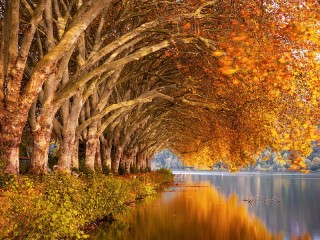 Пазл #55961