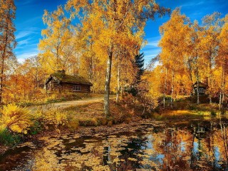 Пазл #55786