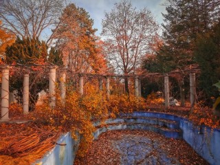 Пазл #36174