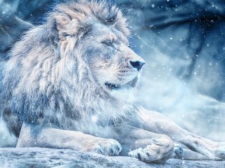 Пазл #35069