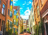 Пазл  Солнечный день