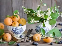 Пазл Абрикосы
