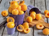 Пазл Абрикосы