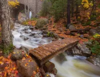 Пазл Acadia National Park