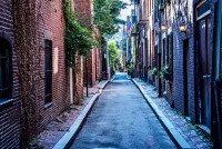 Пазл Acorn Street