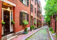 Пазл Acorn Street