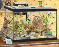 Пазл Аквариум