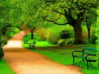 Пазл Аллея  в парке