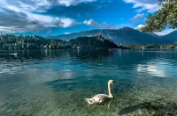 Пазл Альпийское озеро