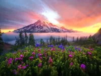 Пазл Альпийский луг 