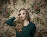 Пазл Аманда Сейфрид